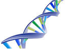 DNA picture